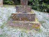 image of grave number 725478